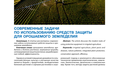 Photo of Общая характеристика и профессионализм